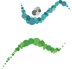 RUNALYZE