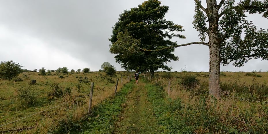 HochRhön-BergTrail 2025
