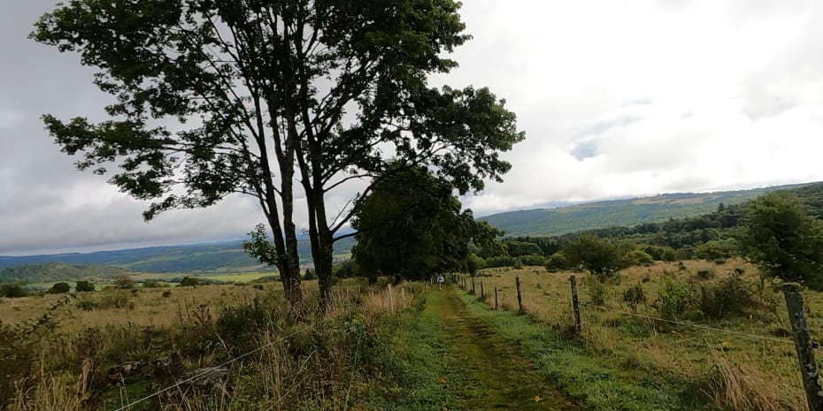 HochRhön-BergTrail 2025