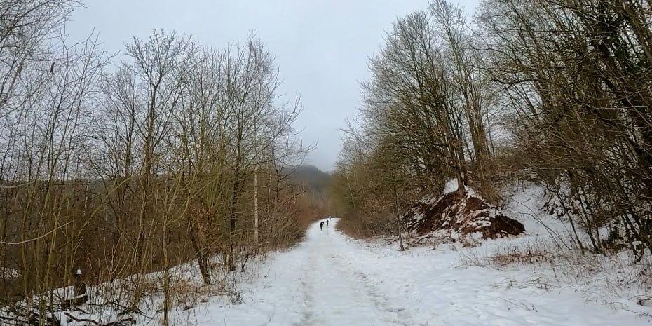 Tunnelweg-Teufelskanzel-Trailmarathon Tunnelweg-Teufelskanzel-Trailmarathon