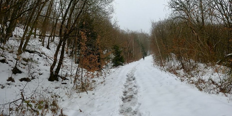 Tunnelweg-Teufelskanzel-Trailmarathon Tunnelweg-Teufelskanzel-Trailmarathon