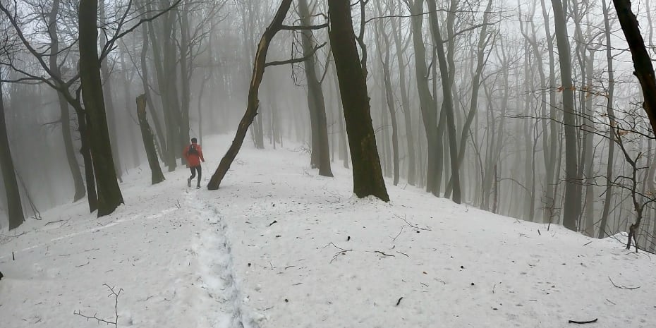 Tunnelweg-Teufelskanzel-Trailmarathon Tunnelweg-Teufelskanzel-Trailmarathon