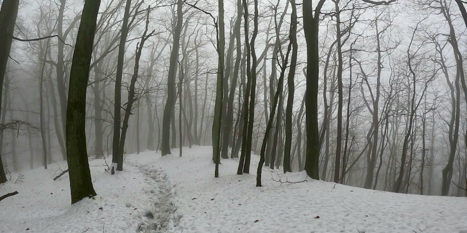 Tunnelweg-Teufelskanzel-Trailmarathon Tunnelweg-Teufelskanzel-Trailmarathon