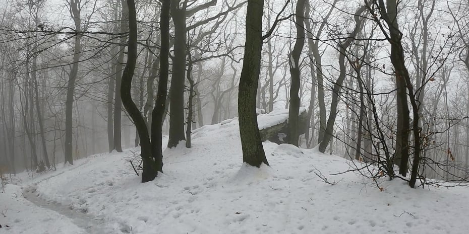 Tunnelweg-Teufelskanzel-Trailmarathon Tunnelweg-Teufelskanzel-Trailmarathon