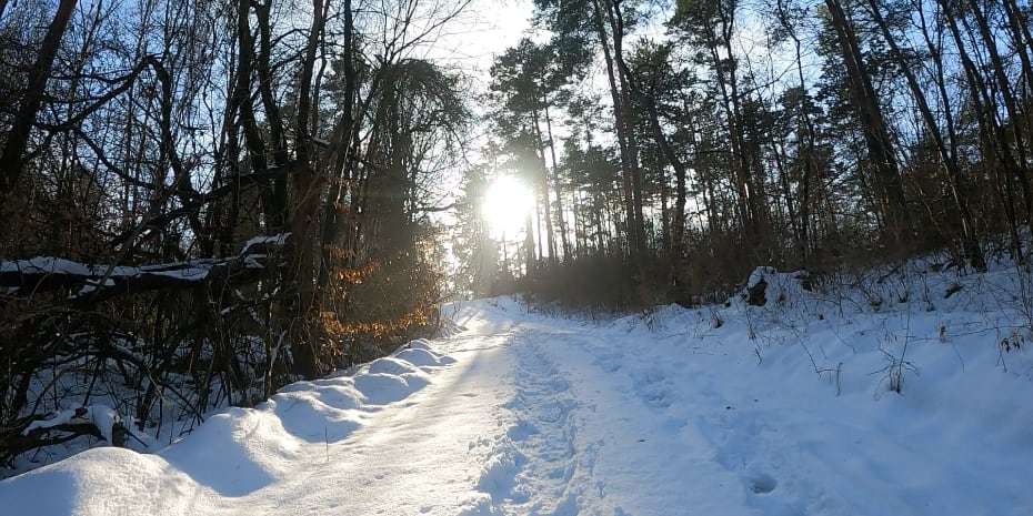 Tunnelweg-Teufelskanzel-Trailmarathon